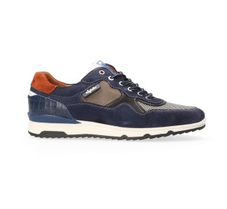 Australian Mazoni Blauw