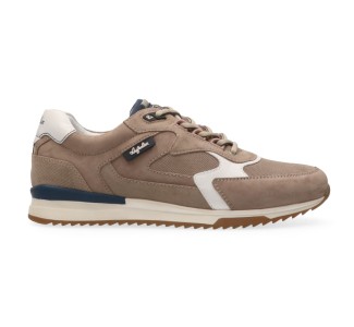 Australian Bakersville Taupe White